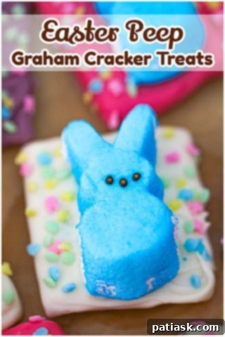 Three Easter Peep Chocolate Covered Graham Crackers arranged on a white plate