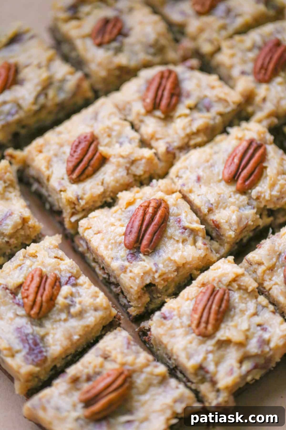 Scrumptious German Chocolate Brownies with Coconut Pecan Frosting, a close-up showcasing the rich textures