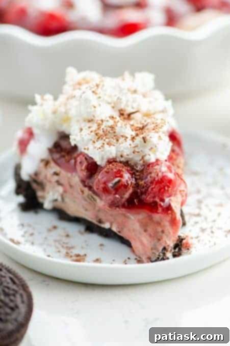 no chocolate cherry cheesecake