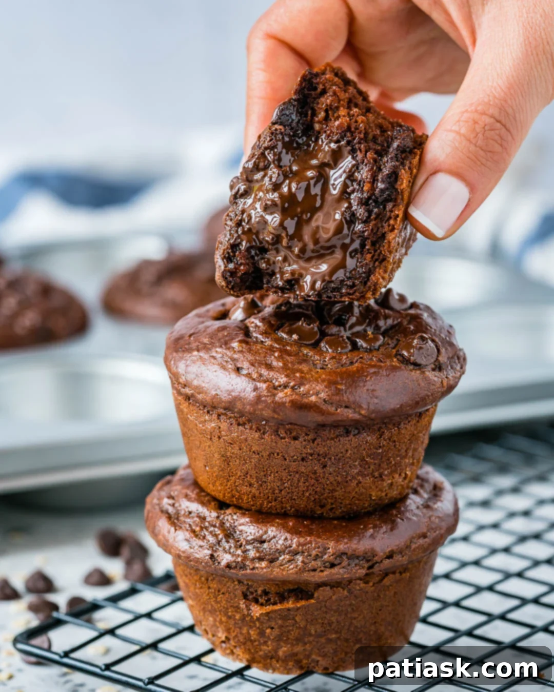 chocolate peanut butter muffins