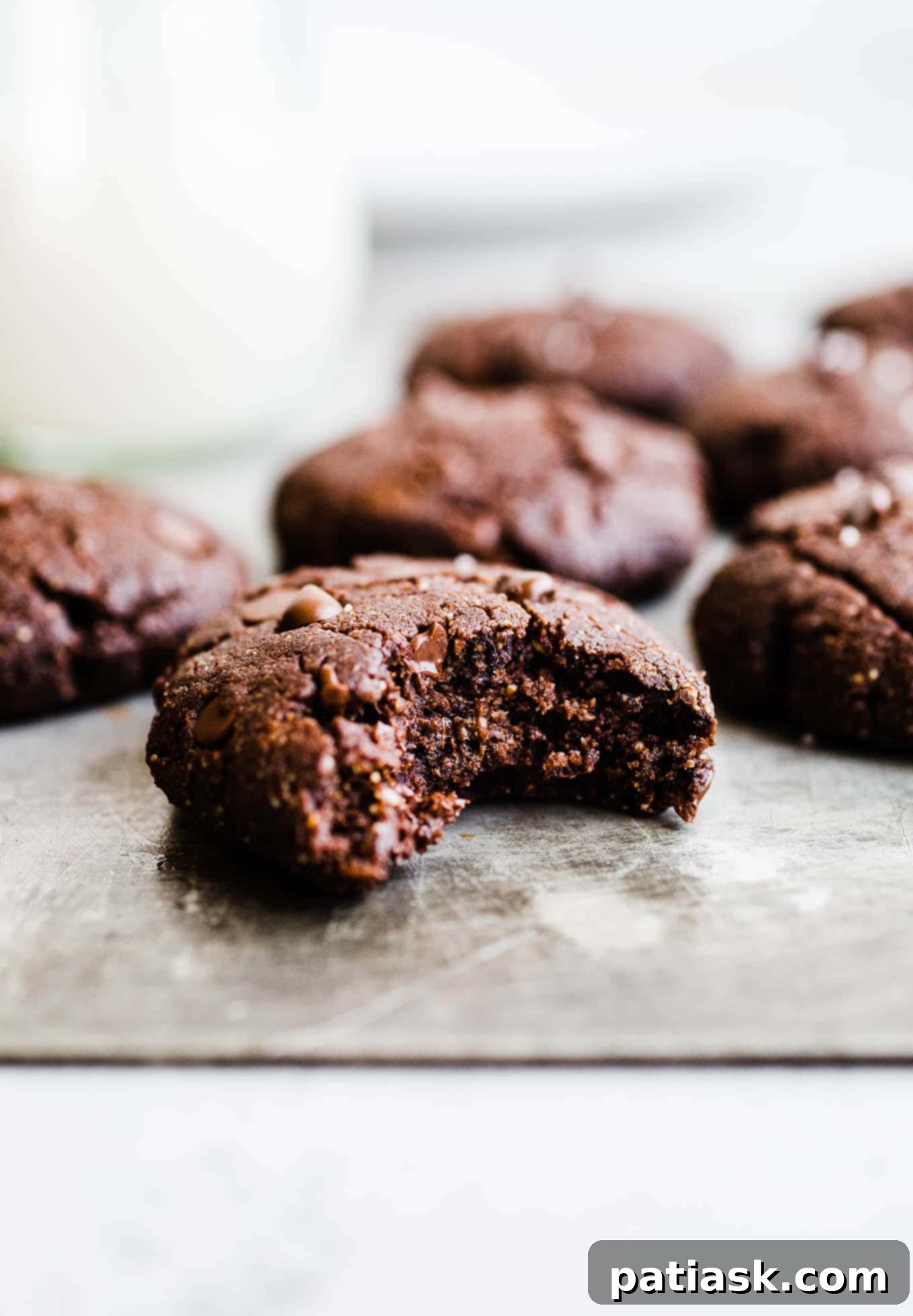Vegan Double Chocolate Peanut Butter Cookies