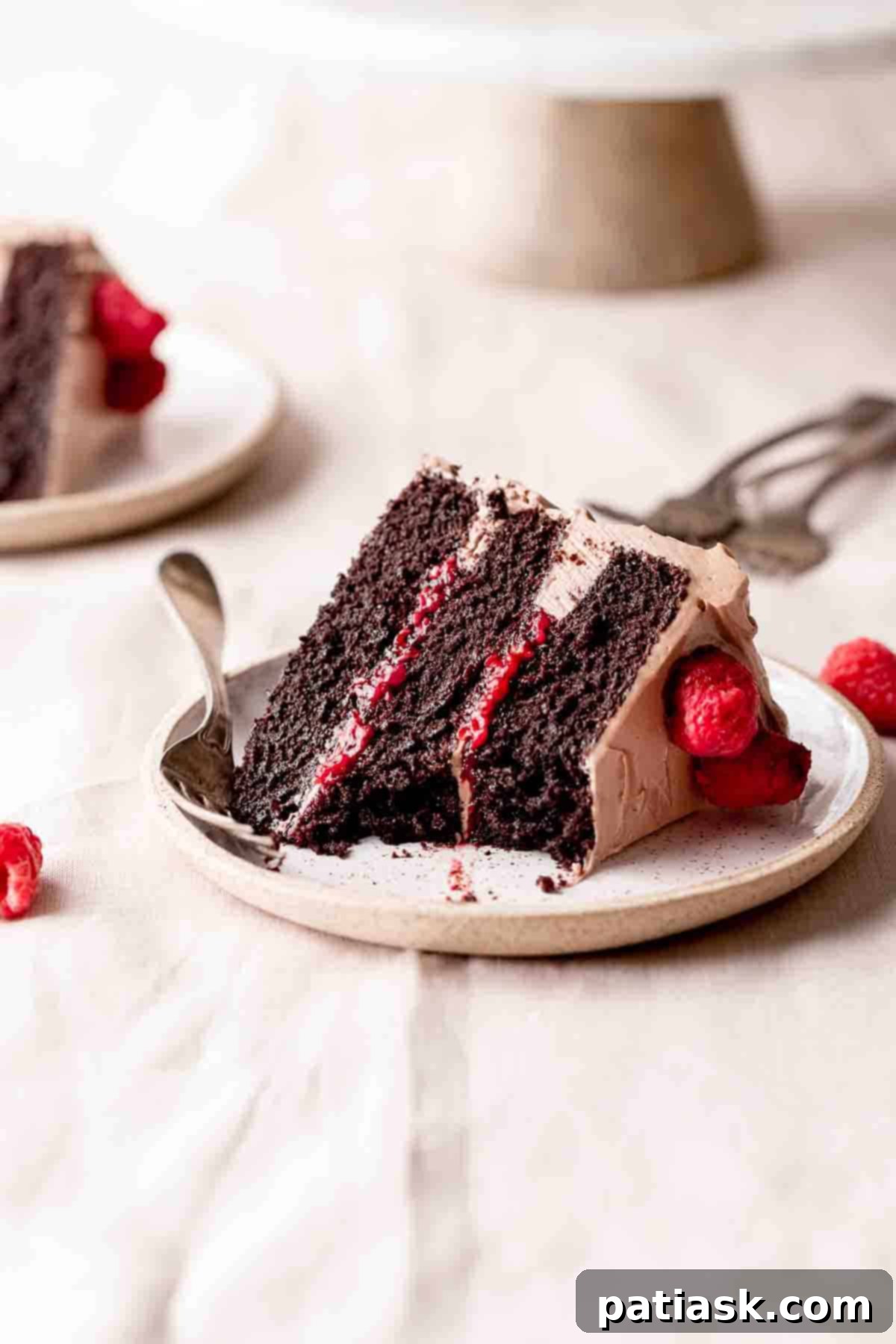 chocolate cake with raspberry filling