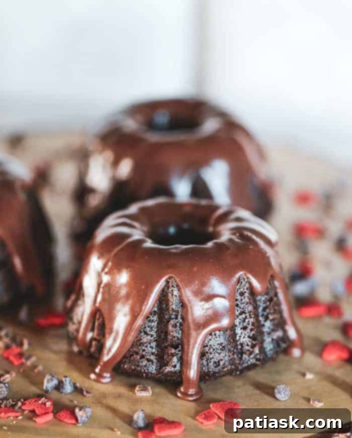 Mini Decadent Chocolate Ganache Bundt Cakes
