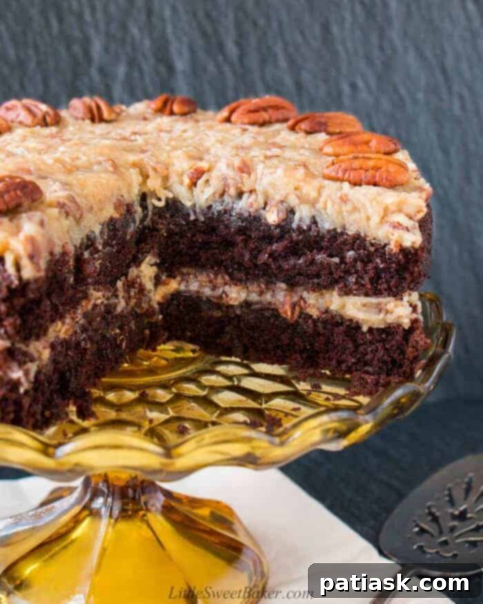 75 Delicious & Decadent Chocolate Dessert Recipes - easy chocolate dessert recipes