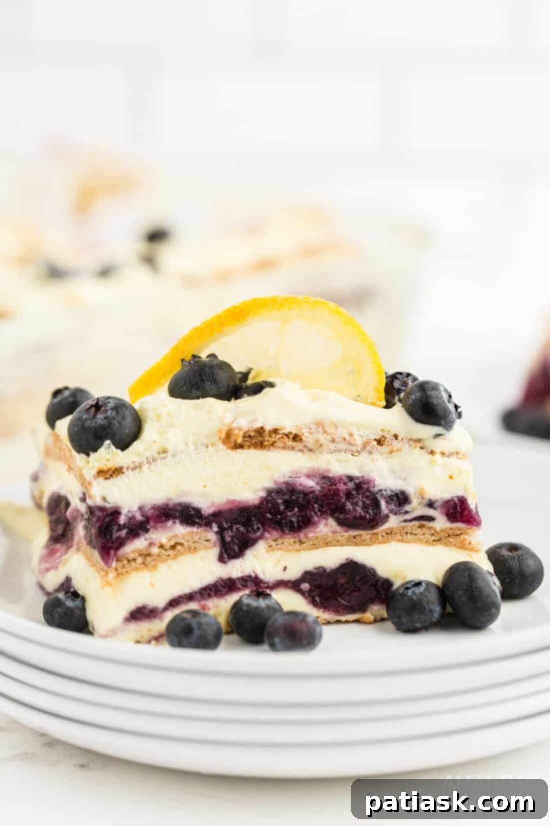 45 Luscious No-Bake Lasagnas and Ice Box Cakes 10 Lasagnas & Ice Box Cakes