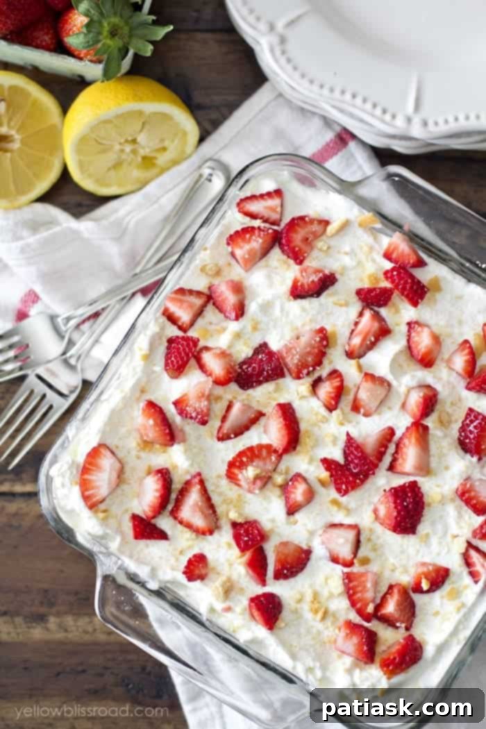 45 Luscious No-Bake Lasagnas and Ice Box Cakes 14 Lasagnas & Ice Box Cakes