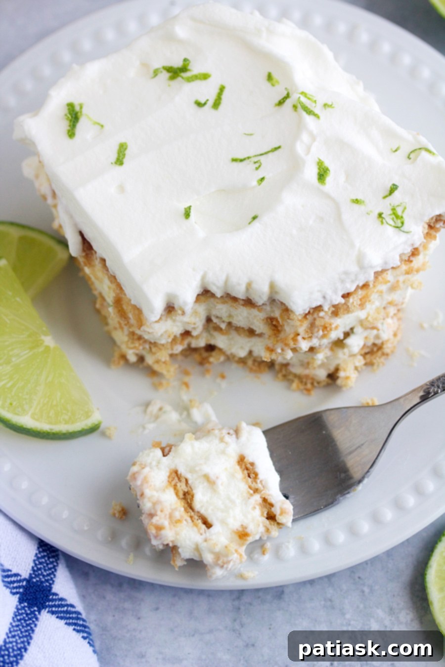 45 Luscious No-Bake Lasagnas and Ice Box Cakes 15 Lasagnas & Ice Box Cakes