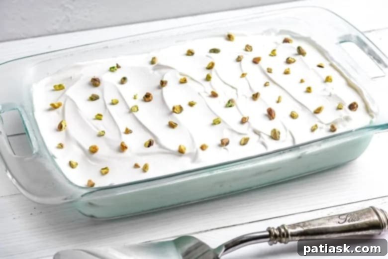 45 Luscious No-Bake Lasagnas and Ice Box Cakes 36 Lasagnas & Ice Box Cakes