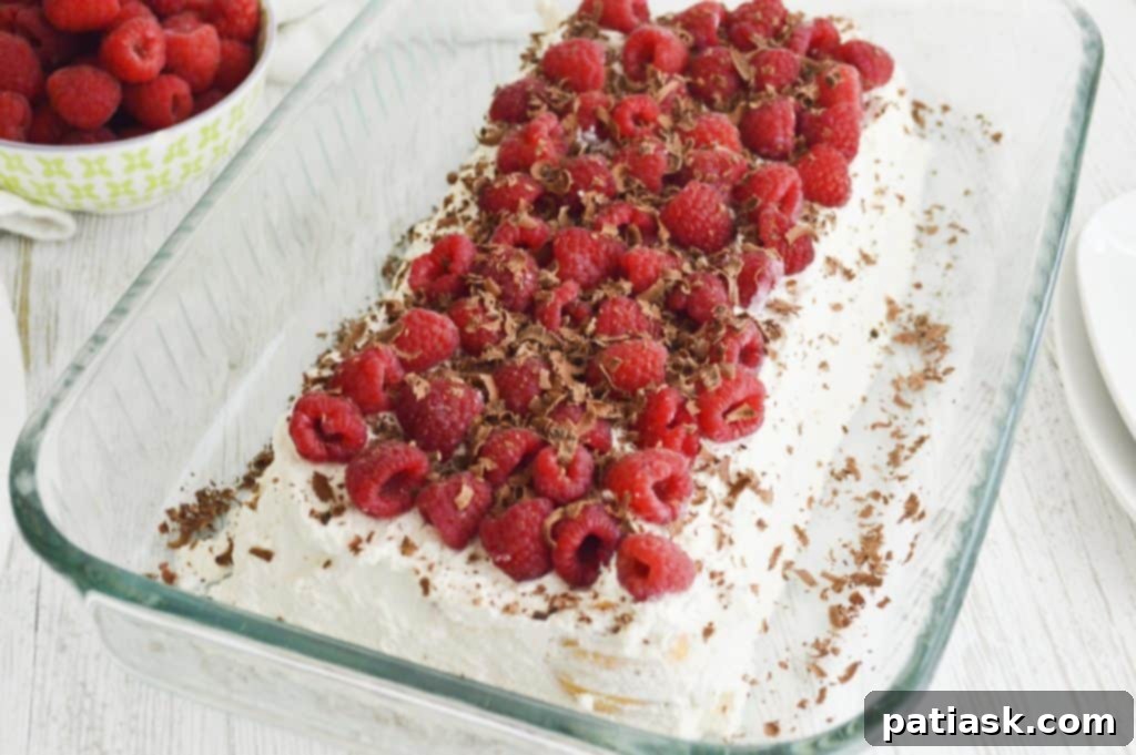 45 Luscious No-Bake Lasagnas and Ice Box Cakes 39 Simple Raspberry LAYERED DESSERT