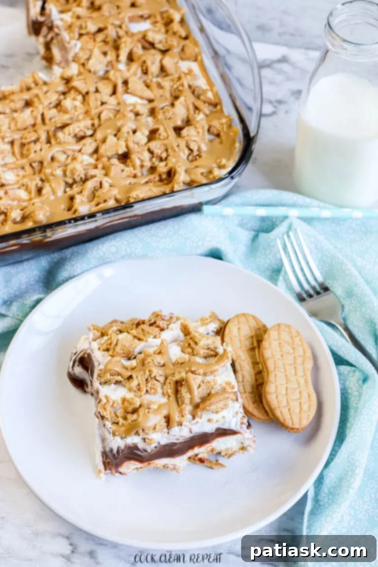 45 Luscious No-Bake Lasagnas and Ice Box Cakes 50 Lasagnas & Ice Box Cakes No bake dessert lasagna recipe