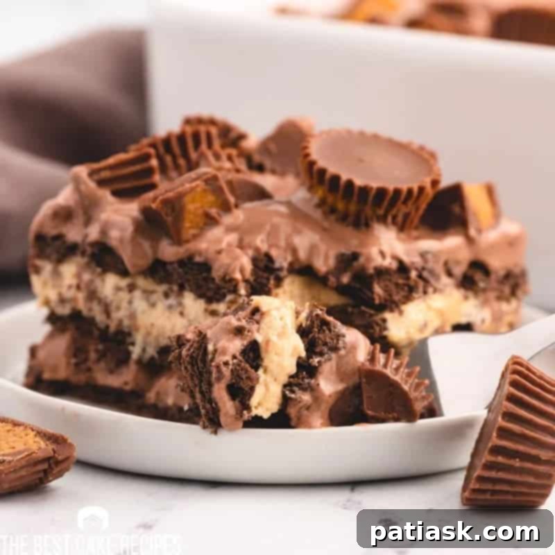 45 Luscious No-Bake Lasagnas and Ice Box Cakes 7 Lasagnas & Ice Box Cakes No bake dessert lasagna recipe