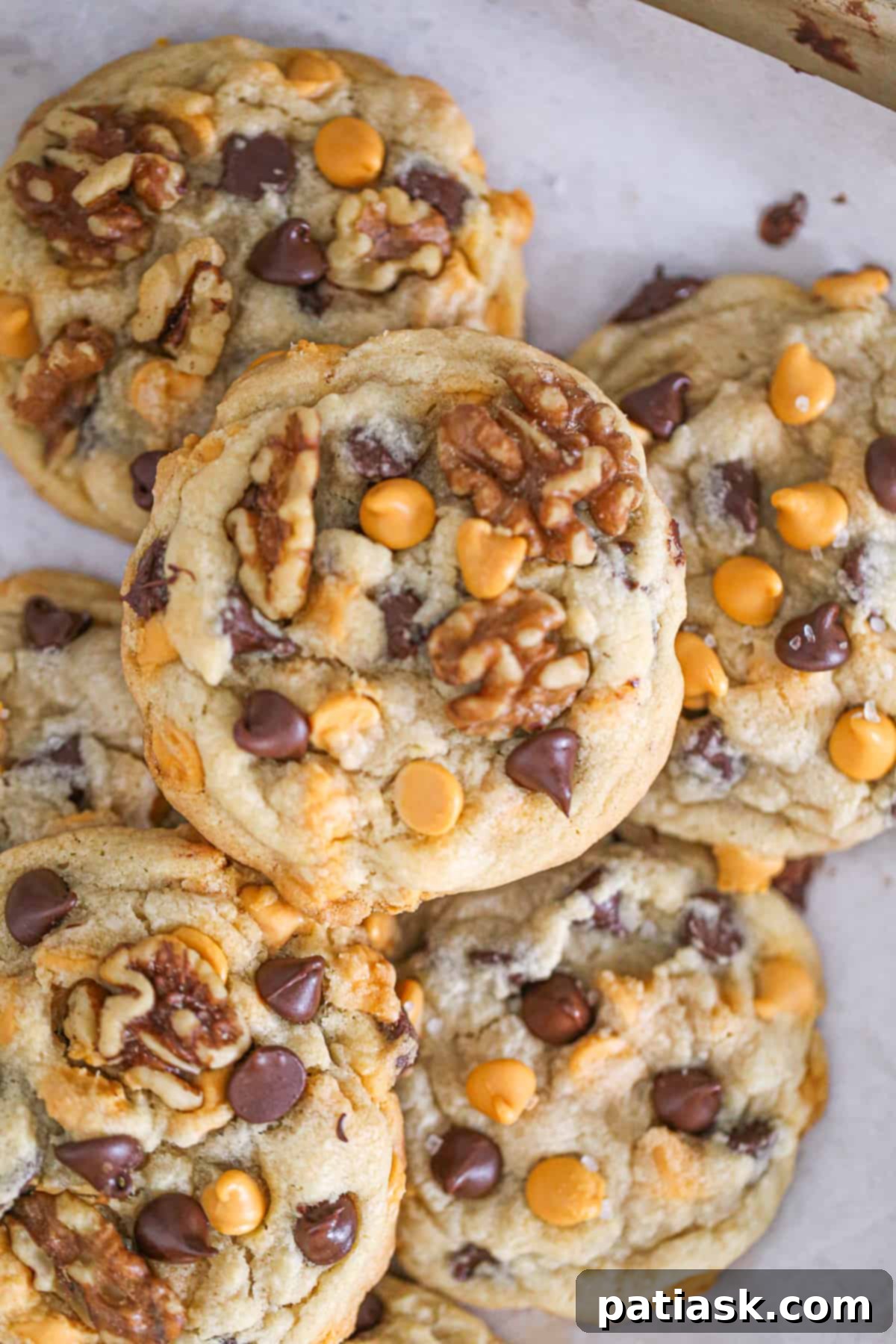 Golden Dream Butterscotch Chocolate Chip Cookies 9 Delicious Butterscotch Chocolate Chip Cookies with sea salt, ready to be enjoyed.