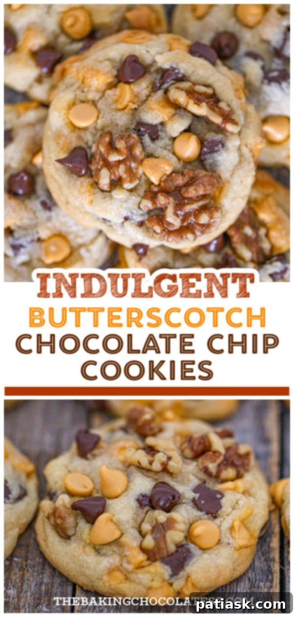 Golden Dream Butterscotch Chocolate Chip Cookies 12 Butterscotch Chocolate Chip Cookies artfully arranged with chips.