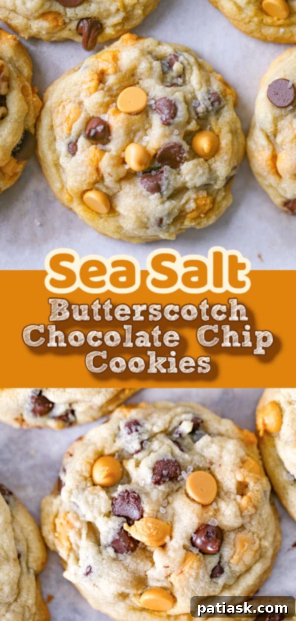 Golden Dream Butterscotch Chocolate Chip Cookies 13 Best Ever Butterscotch Chocolate Chip Cookies with Sea Salt on a serving plate.