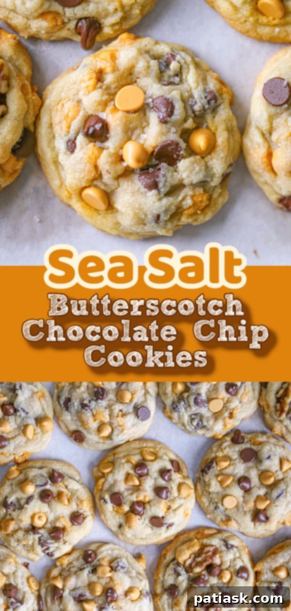 Golden Dream Butterscotch Chocolate Chip Cookies 14 Best Ever Butterscotch Chocolate Chip Cookies on a marble surface.