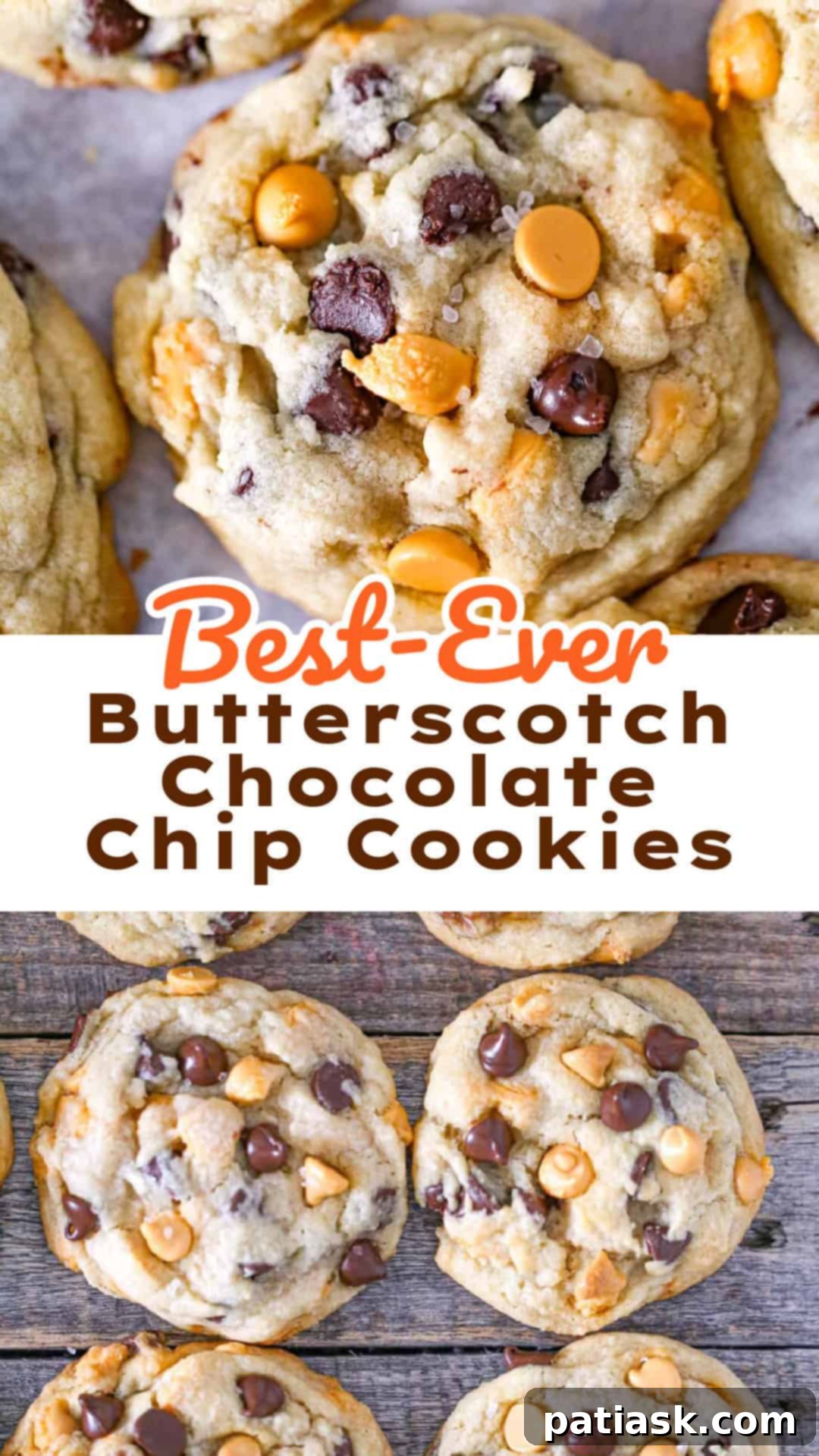 Golden Dream Butterscotch Chocolate Chip Cookies 16 Three Butterscotch Chocolate Chip Cookies on a wire rack.