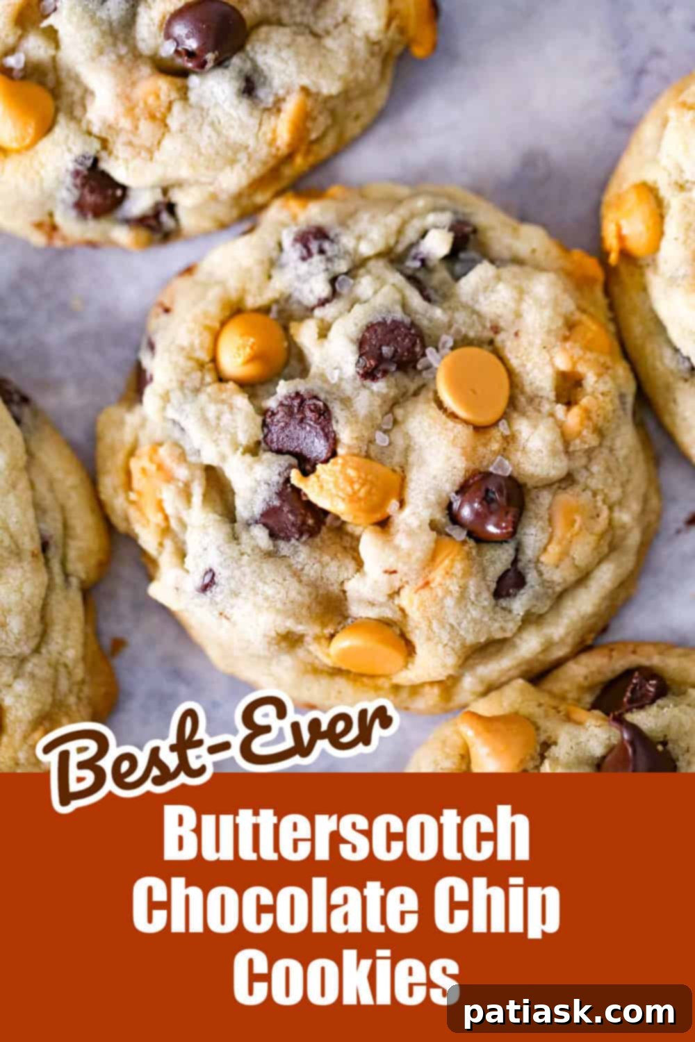 Golden Dream Butterscotch Chocolate Chip Cookies 17 A delicious close-up of a Butterscotch Chocolate Chip Cookie with melted chips.