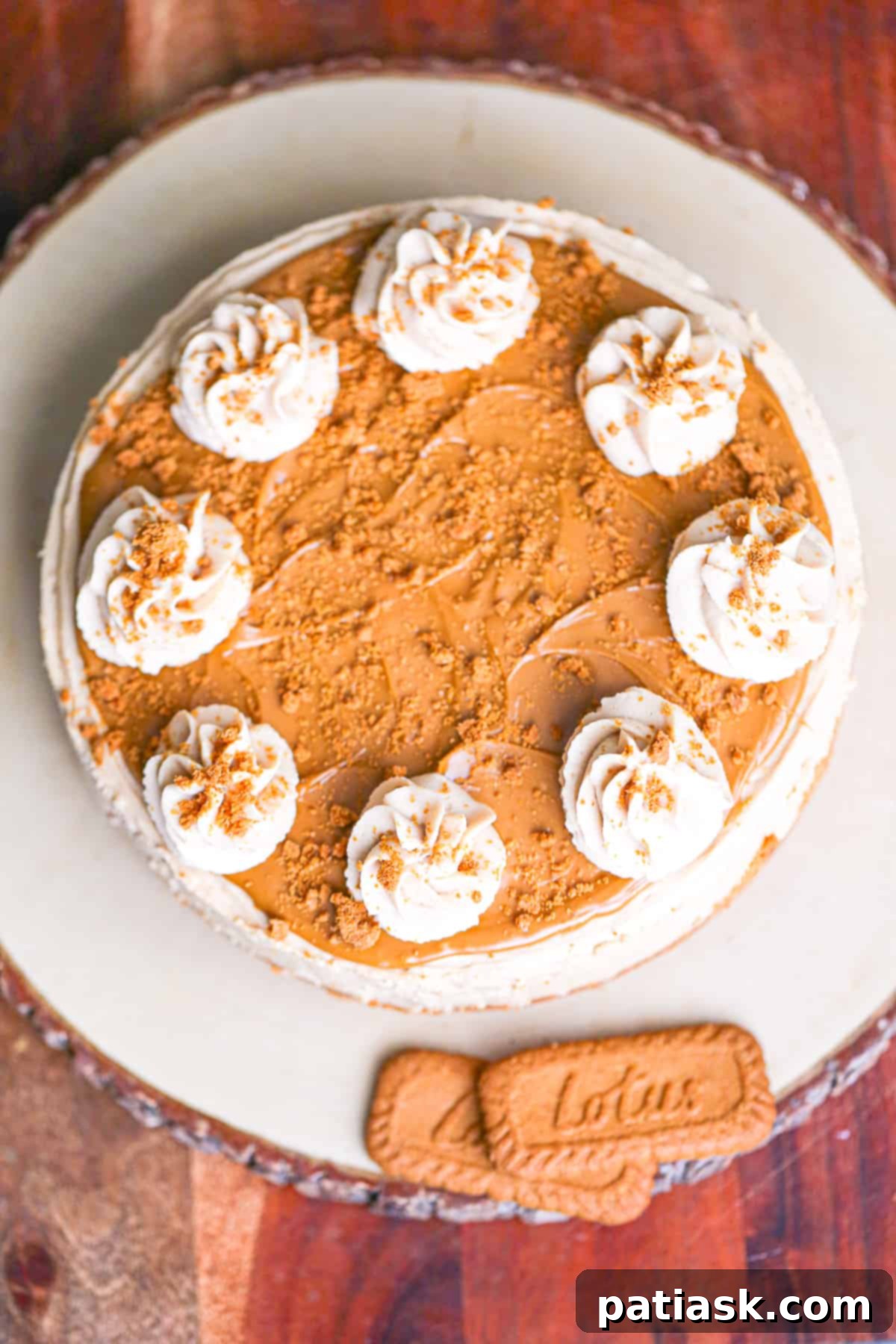 Effortless No-Bake Biscoff Cheesecake 10 Side view of a slice of No-Bake Biscoff Cheesecake, revealing the layers and creamy texture