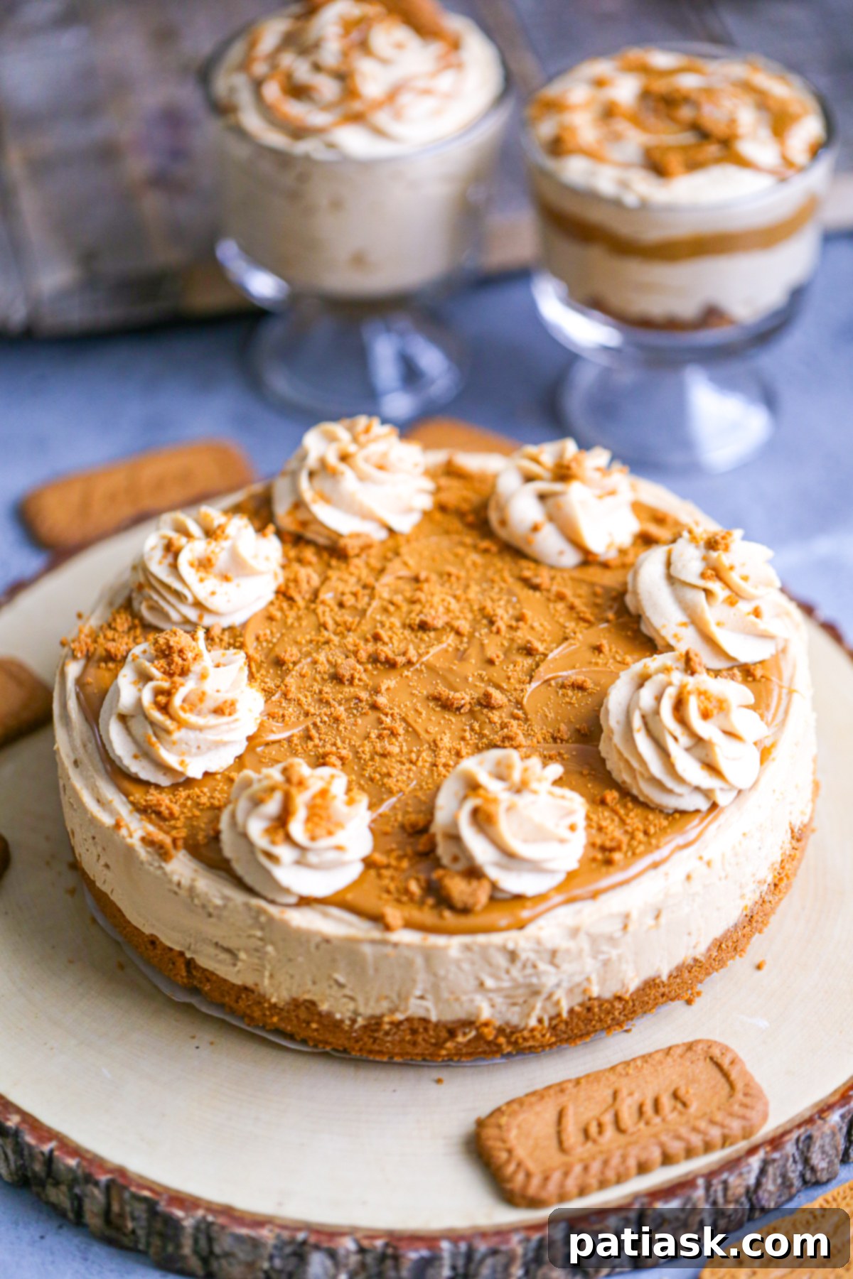 Effortless No-Bake Biscoff Cheesecake 11 Close-up of a delectable slice of No-Bake Biscoff Cheesecake, emphasizing its rich, spiced filling