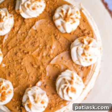 Effortless No-Bake Biscoff Cheesecake 13 Easy No-Bake Biscoff Cheesecake with creamy topping and crushed cookies