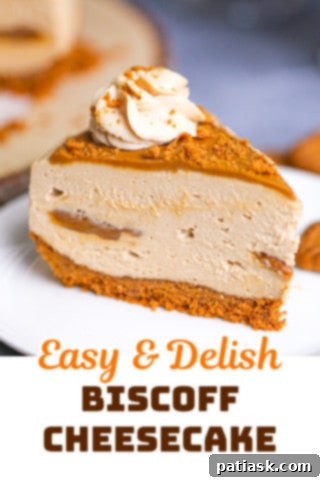 Effortless No-Bake Biscoff Cheesecake 14 A slice of No-Bake Biscoff Cheesecake on a plate, ready to be enjoyed