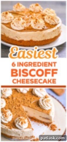 Effortless No-Bake Biscoff Cheesecake 15 Close-up of the creamy texture of a No-Bake Biscoff Cheesecake slice