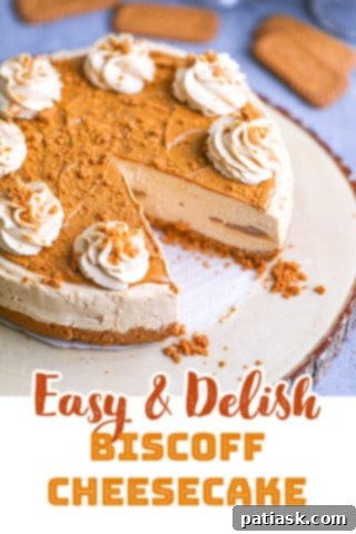 Effortless No-Bake Biscoff Cheesecake 16 A No-Bake Biscoff Cheesecake with a fork inserted, showing its soft consistency