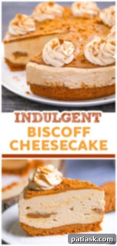 Effortless No-Bake Biscoff Cheesecake 17 A whole No-Bake Biscoff Cheesecake on a cake stand, beautifully garnished