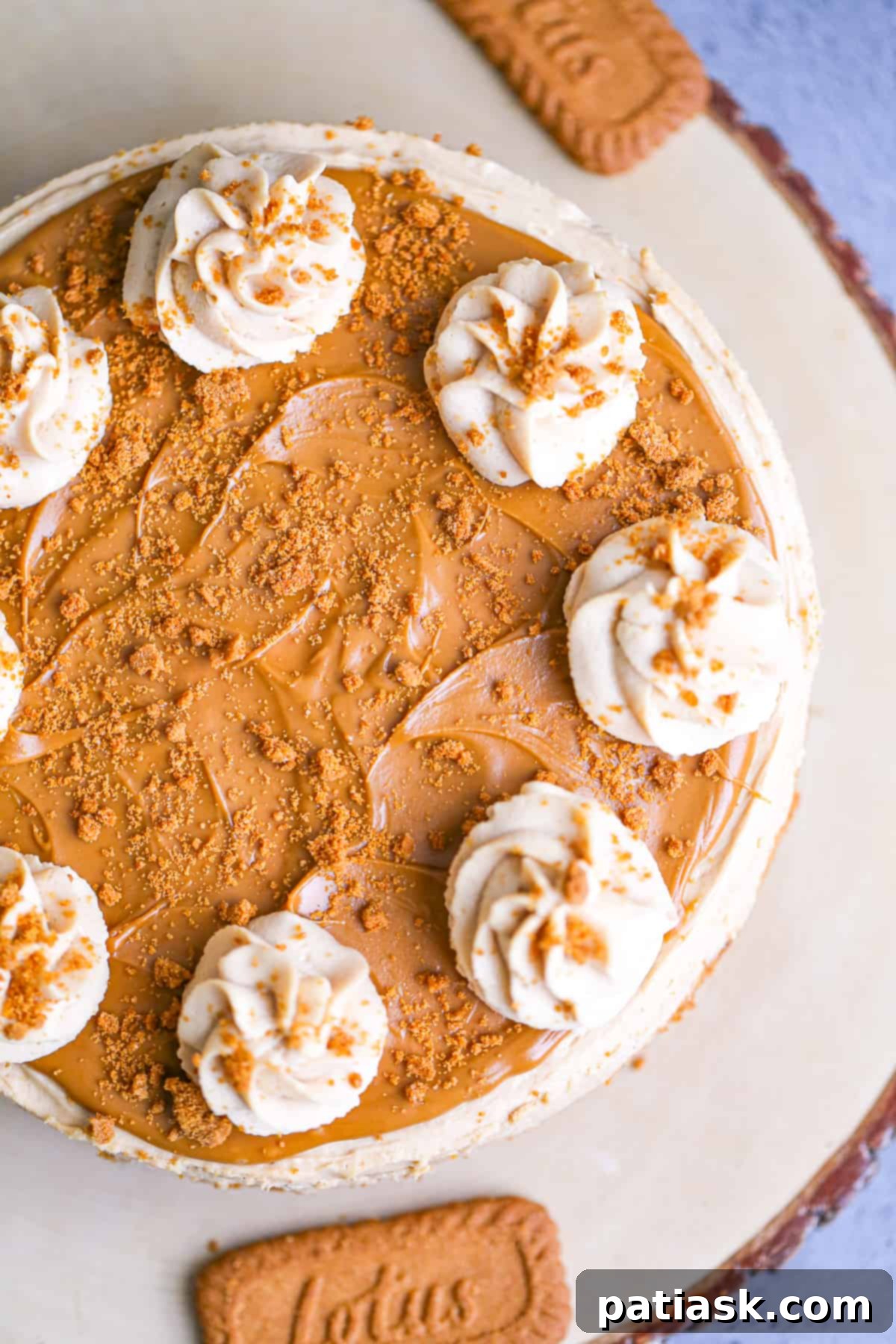 Effortless No-Bake Biscoff Cheesecake 4 A beautiful slice of No-Bake Biscoff Cheesecake on a white plate, showing the distinct layers of crust, filling, and topping