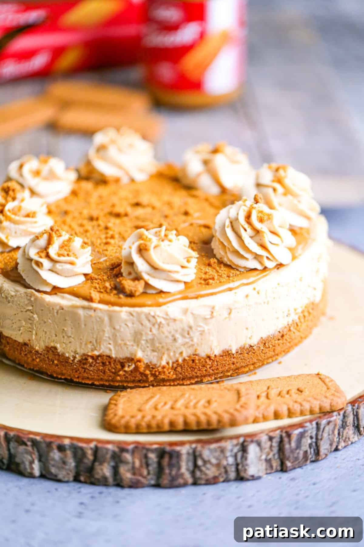 Effortless No-Bake Biscoff Cheesecake 5 Close-up of the essential ingredients laid out for making the Easy No-Bake Biscoff Cheesecake