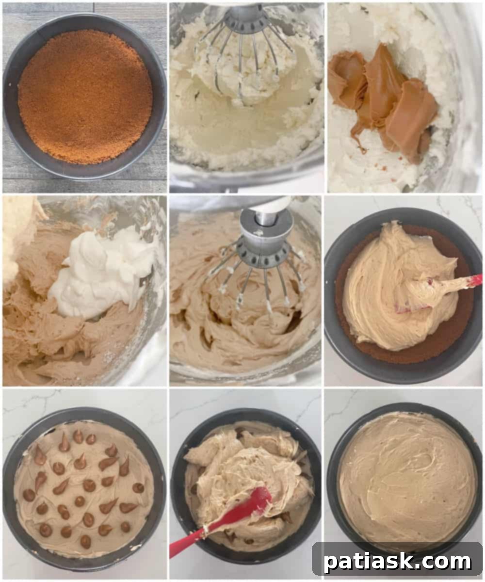 Effortless No-Bake Biscoff Cheesecake 7 A smooth, unfinished No-Bake Biscoff Cheesecake in a springform pan before the final toppings are added