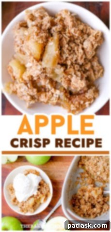 Simple & Scrumptious Homemade Apple Crisp 10 Easy Homemade Apple Crisp Recipe