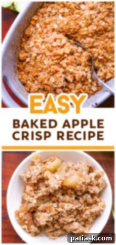 Simple & Scrumptious Homemade Apple Crisp 12 Easy Homemade Apple Crisp Recipe