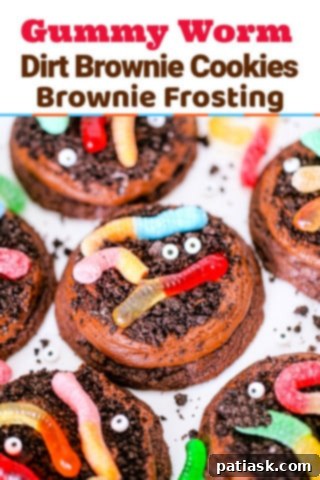 Wormy Dirt Brownie Cookies 15 Gummy Worm Dirt Brownie Cookies with various candies