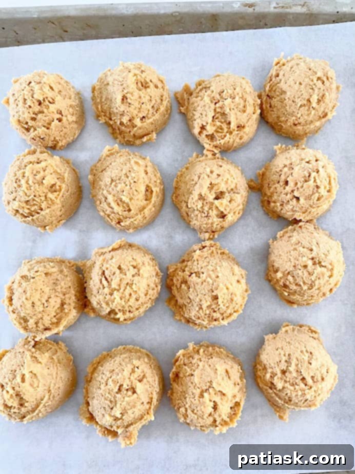 Pumpkin Snickerdoodle Cookie Dough Rolled in Cinnamon Sugar