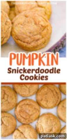 Pumpkin Snickerdoodle Cookies Recipe image