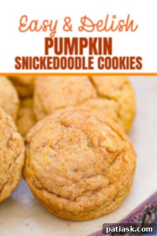 Pumpkin Snickerdoodle Cookies Recipe close-up