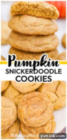 Pumpkin Snickerdoodle Cookies Recipe on a plate