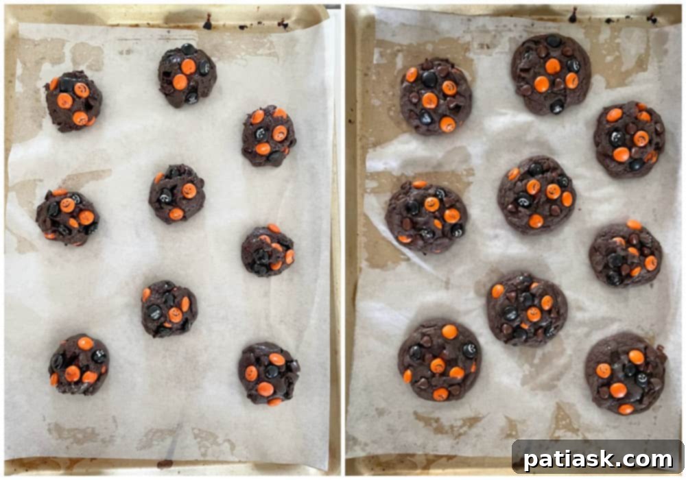 Spooktacular Cake Mix Cookies 7 cake mix halloween cookies chocolate easy recipe orange black candies
