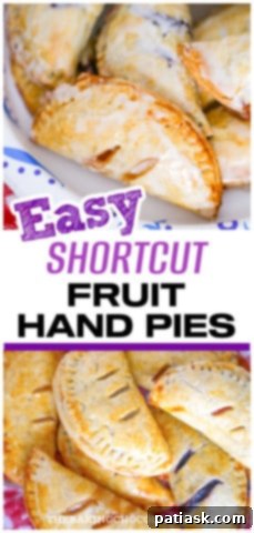 Sweet Fruit Pockets 13 HAND HELD FRUIT PIES