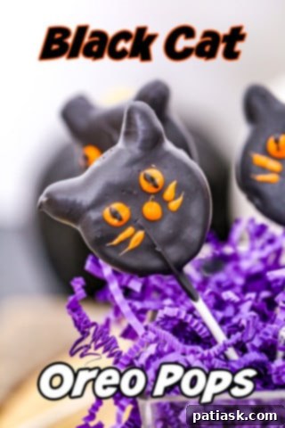 Spooktacular Oreo Pops 22 black cat dessert