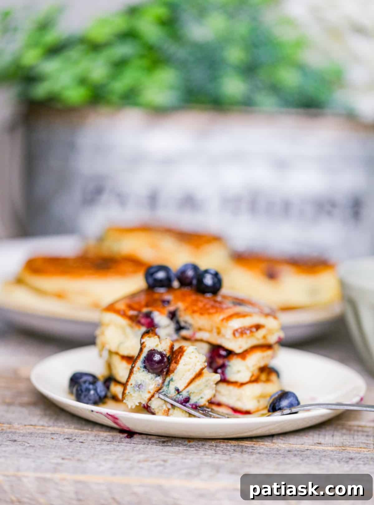 Fluffy Blueberry Pancakes close-up