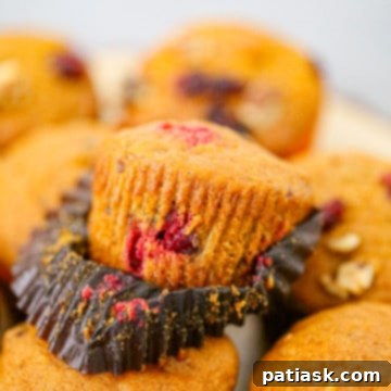 Best Pumpkin Cranberry Muffins
