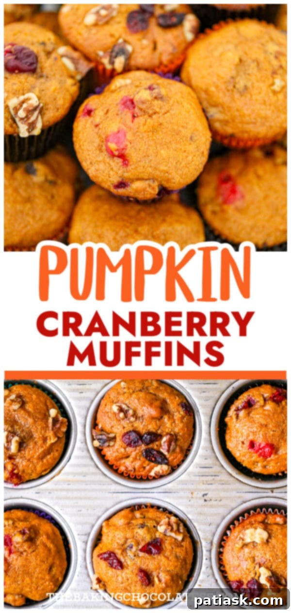 Best Pumpkin Cranberry Muffins