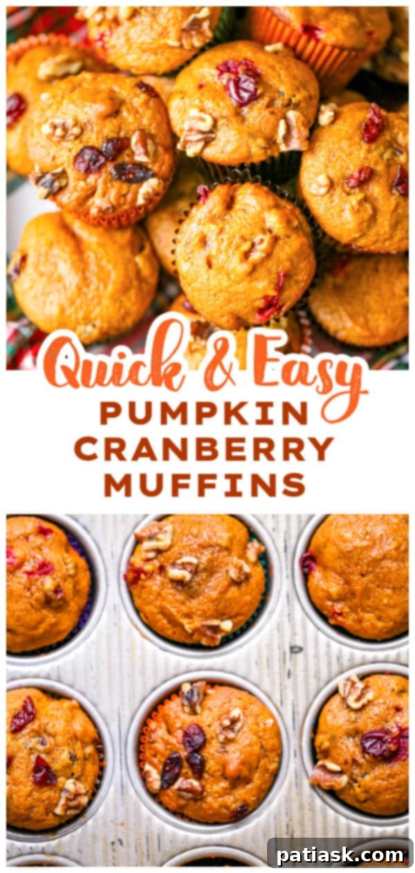 Best Pumpkin Cranberry Muffins