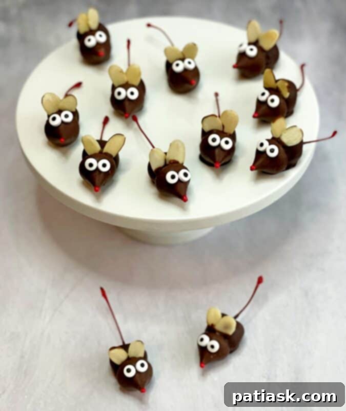 Adorable Chocolate Covered Cherry Mice, a cute holiday treat
