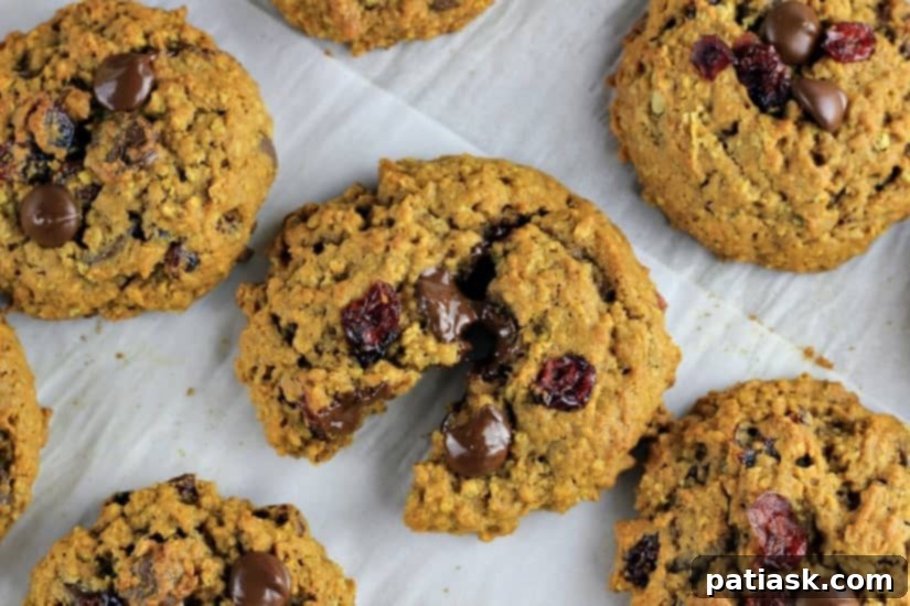 Hearty Pumpkin Chai Spiced Oatmeal Cookies with visible oats, chocolate chips, and cranberries.