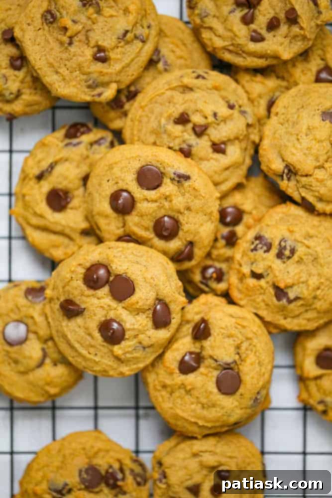 A plate of Soft Batch Pumpkin Chocolate Chip Cookies, highlighting their soft texture and chocolate chips, with a note that they are eggless.