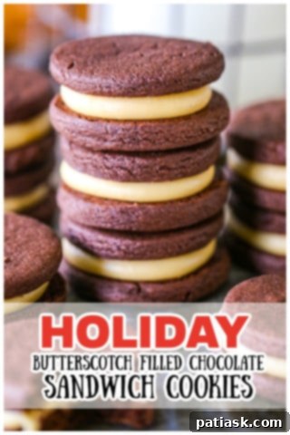 Butterscotch Chocolate Sandwich Cookies 11 Close-up of butterscotch chocolate sandwich cookies