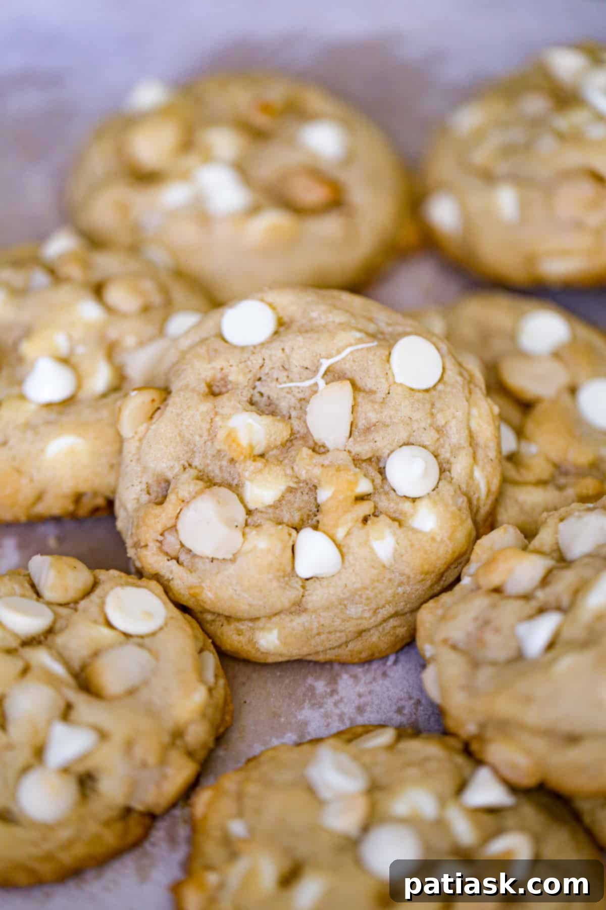 65 Festive Christmas Cookie Creations 21 Best-Ever White Chocolate Macadamia Nut Cookies with visible white chocolate and nuts